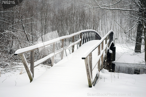 Image of Snow Bridge