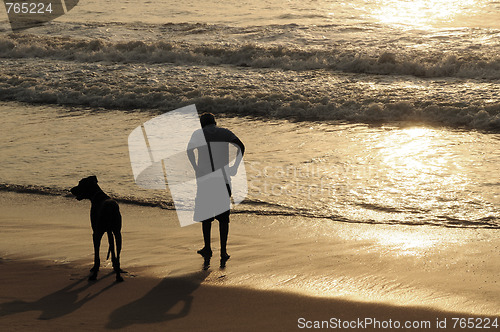 Image of Morning Walk