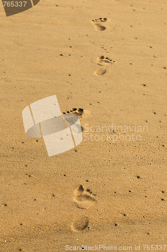 Image of Footsteps