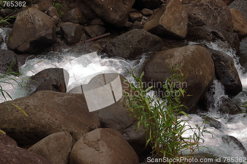 Image of Stream