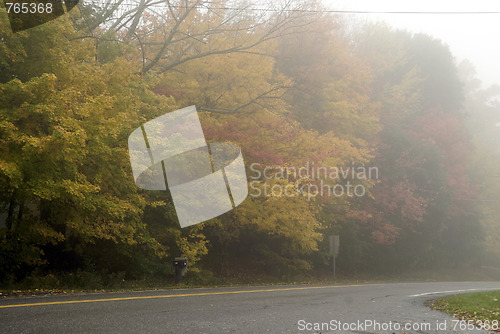 Image of Fall Foliage