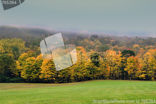 Image of Fall Foliage