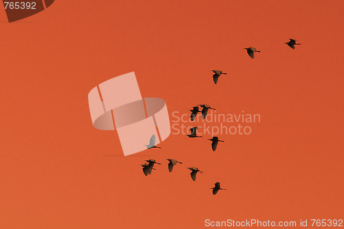 Image of Sunset