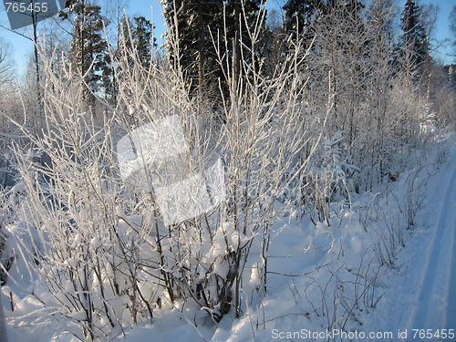 Image of Winterlandscape Norway