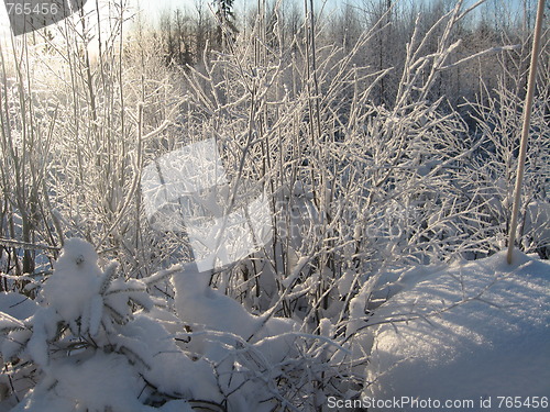 Image of Winterlandscape Norway