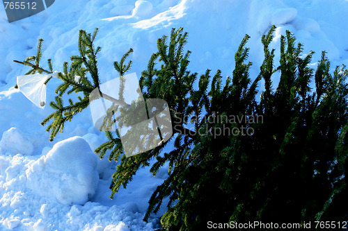 Image of Throwing out Christmas