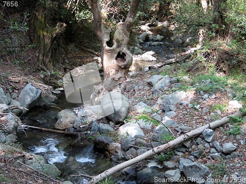 Image of River turn. Platres. Cyprus