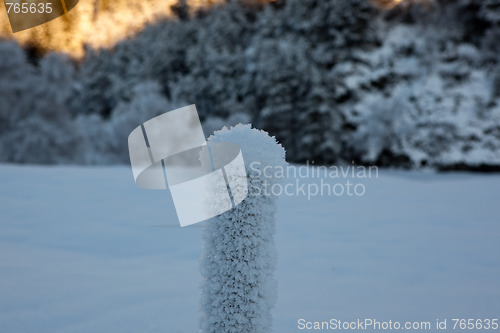 Image of A Cold Winterday