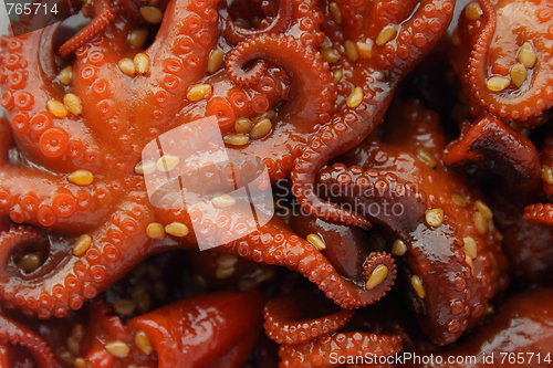 Image of Marinated baby octopuses