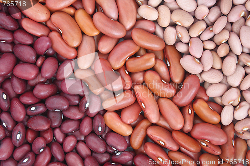 Image of Three sorts of beans