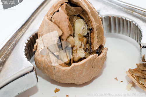 Image of Cracked Walnut