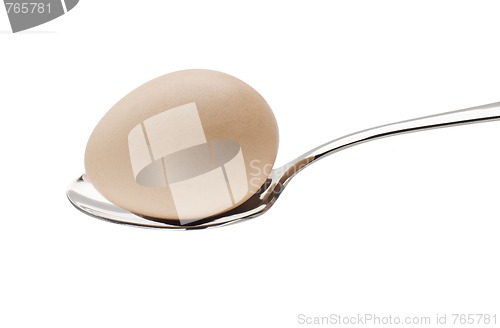 Image of Egg