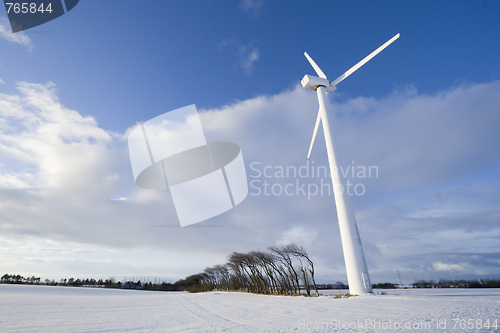 Image of Wind turbine and windy trees