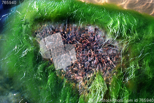 Image of Rock underwater