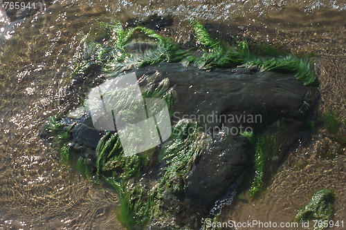 Image of Rock underwater