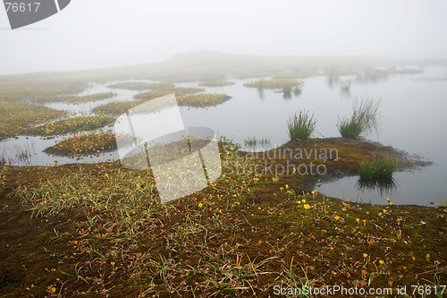 Image of Misty Pond