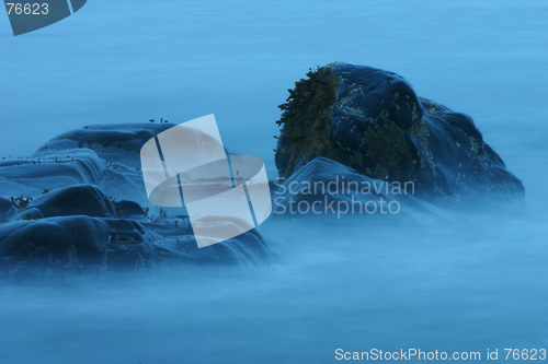 Image of Blue Mist