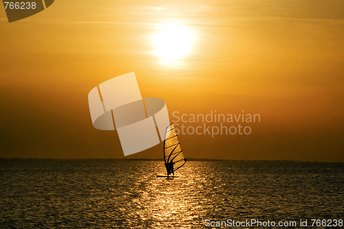 Image of Windsurfer