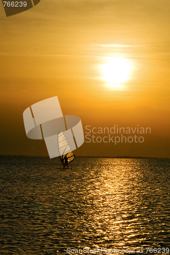 Image of Windsurfer