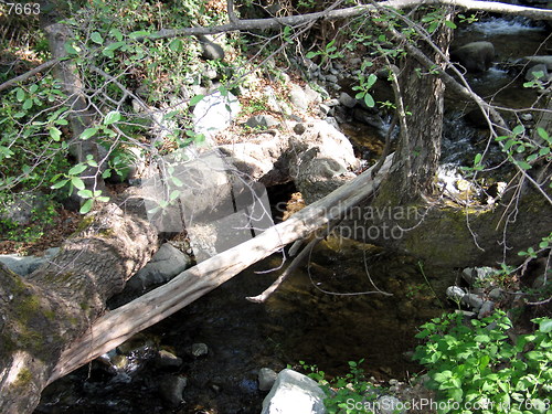 Image of Water under trees. Platres. Cyprus