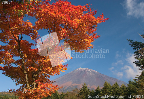 Image of Mount Fuji in Fall