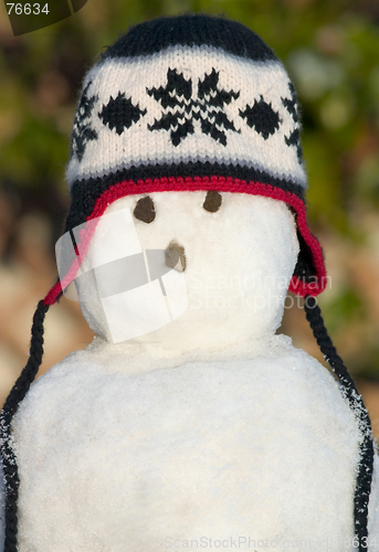 Image of The Snowman
