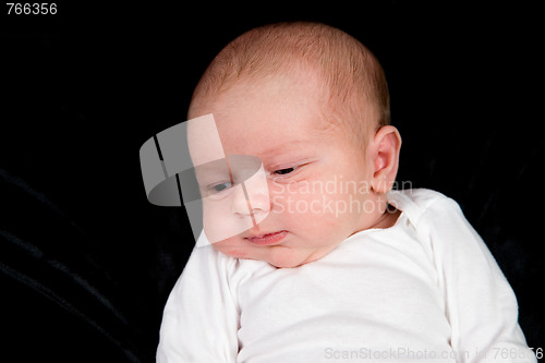 Image of Newborn Baby Boy