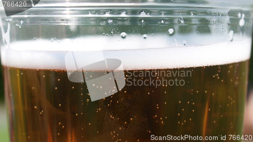 Image of Pint of beer