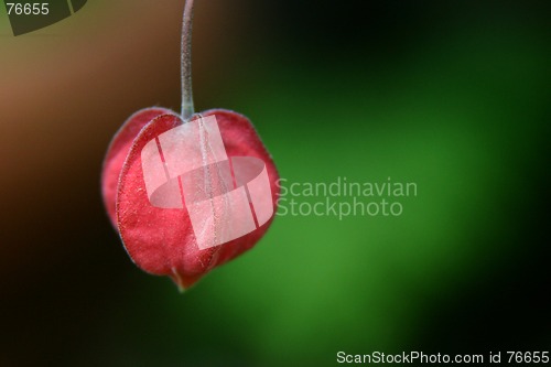 Image of Season's Greetings