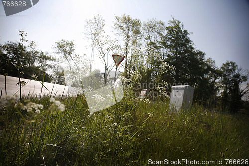 Image of Danish roadside