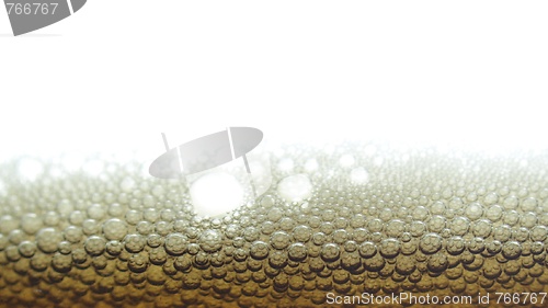 Image of Beer