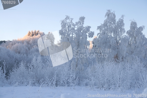 Image of Winter landscape