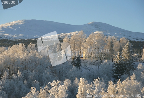 Image of Winter landscape