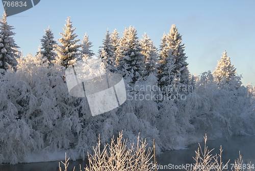 Image of Frosty river