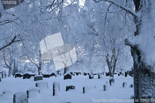 Image of Cemetery in winter