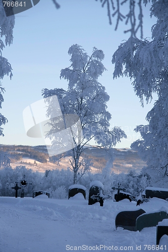 Image of Cemetery in winter