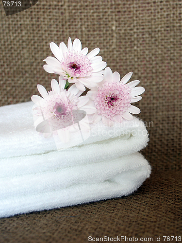 Image of Towels