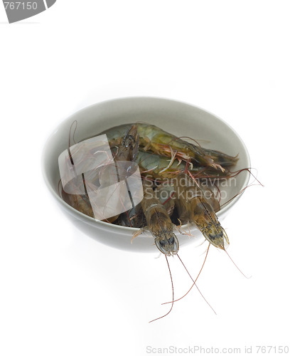 Image of raw fresh shrimps