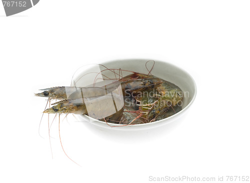 Image of raw fresh shrimps