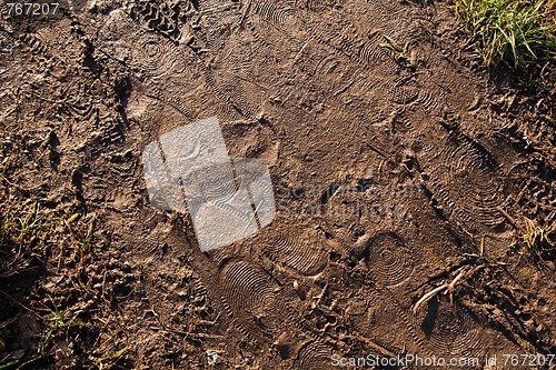 Image of footsteps in mud