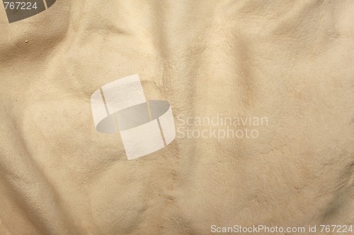 Image of Buckskin
