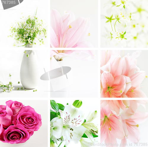 Image of Flower collage