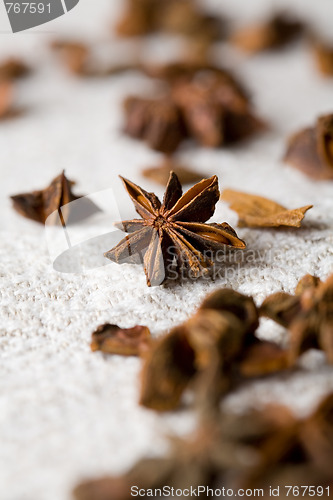 Image of Aromatic star-aniseed