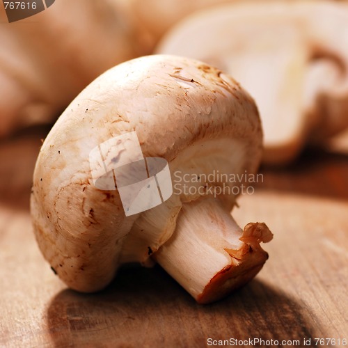 Image of mushrooms