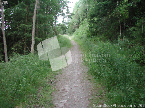 Image of narrow path
