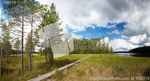 Image of hiking trail