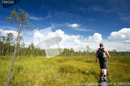 Image of hiking at ruunaa, finland