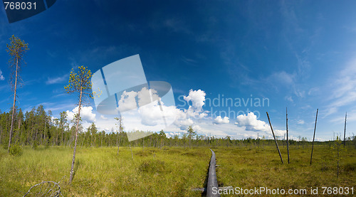 Image of hiking trail