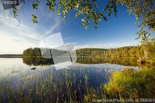 Image of summer scene