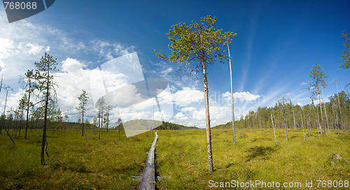 Image of hiking trail